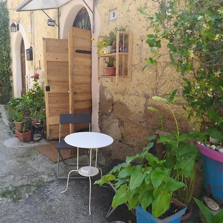 Botanica Couette-café *